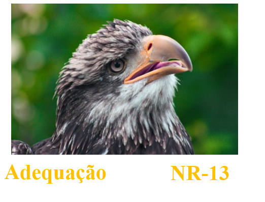 Adequação a NR- 13